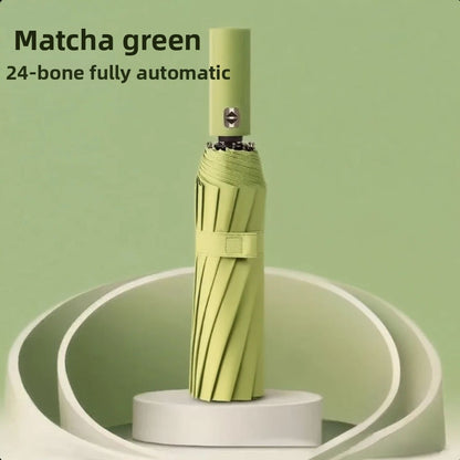 Automatic Windproof Black-Coated Umbrella with 24 Ribs