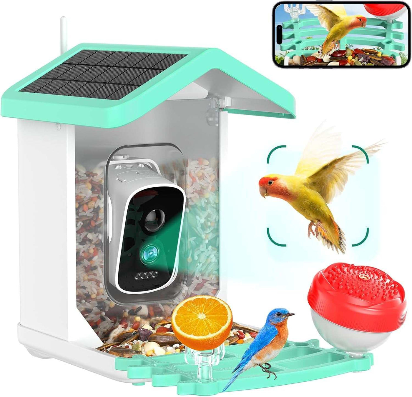 Bird Feeder with Camera, 4K HD AI Identify Bird Species, Smart Solar-Powered Bird Feeder, Auto Capture Bird& Motion Detection for Watching, Camera Bird Feeders Present for Bird Lovers