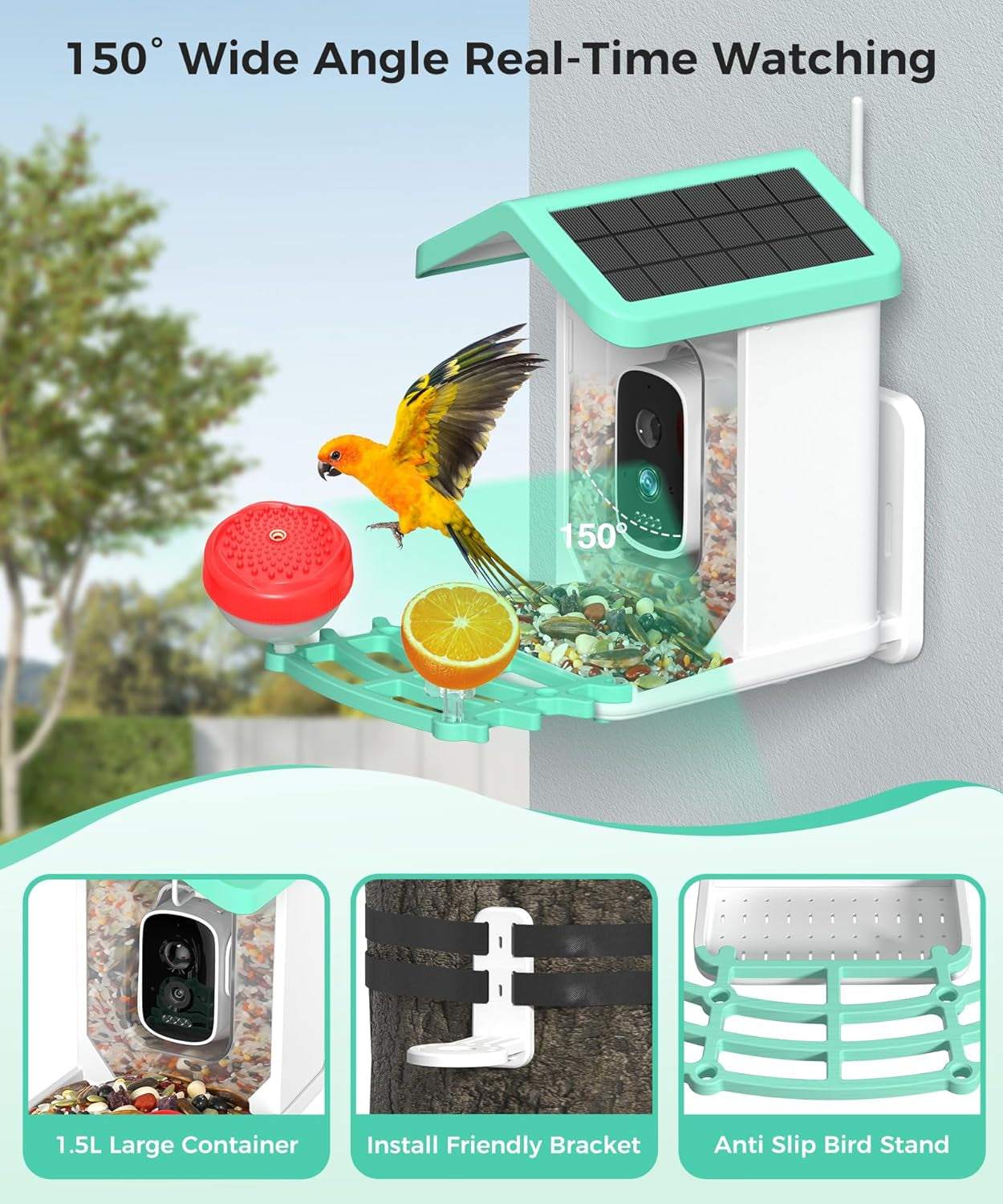 Bird Feeder with Camera, 4K HD AI Identify Bird Species, Smart Solar-Powered Bird Feeder, Auto Capture Bird& Motion Detection for Watching, Camera Bird Feeders Present for Bird Lovers