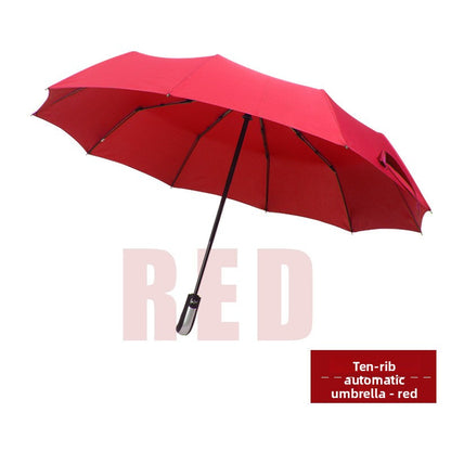Automatic Windproof Black-Coated Umbrella with 24 Ribs