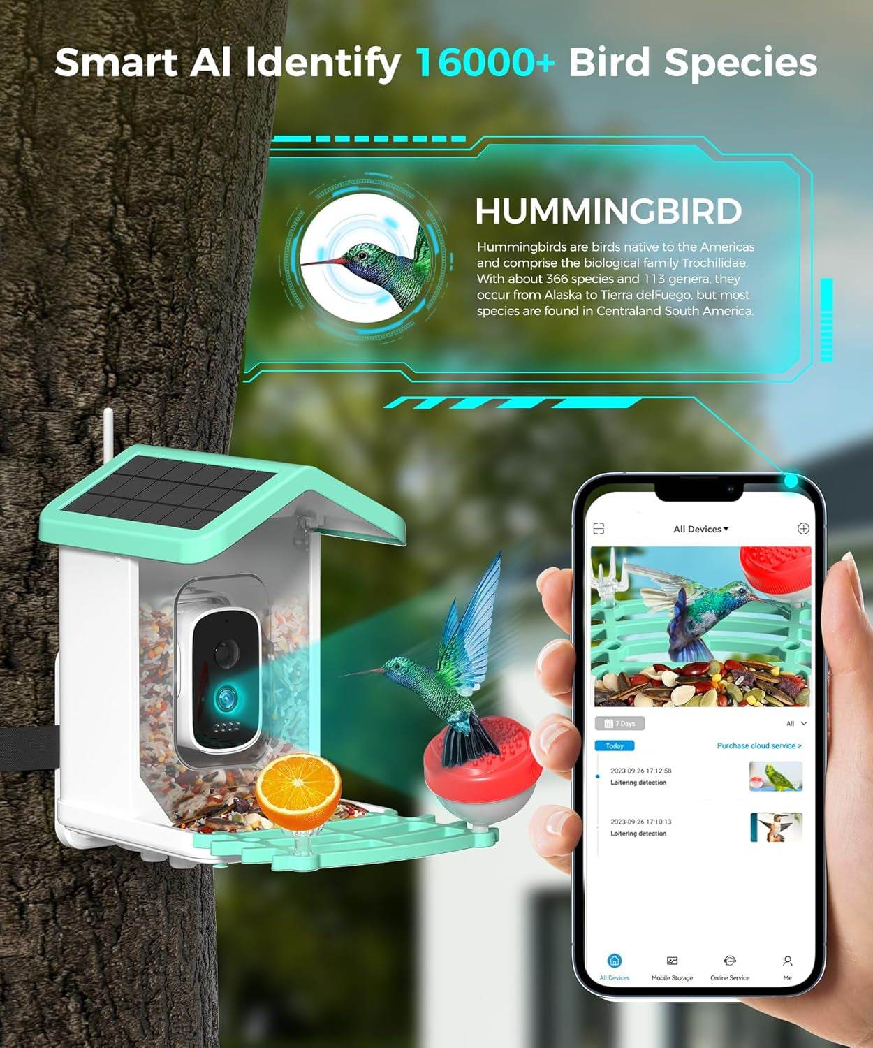 Bird Feeder with Camera, 4K HD AI Identify Bird Species, Smart Solar-Powered Bird Feeder, Auto Capture Bird& Motion Detection for Watching, Camera Bird Feeders Present for Bird Lovers