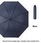 Automatic Windproof Black-Coated Umbrella with 24 Ribs