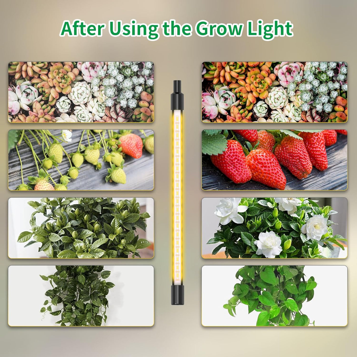 Grow Lights for Indoor Plants Full Spectrum,Smart Plant Light,Plant Grow Lights Indoor,Led Grow Lights for Seed Starting,Grow Lamp with 59''Tripod,Yellow Light,Sunlight,App Control, GLA-02