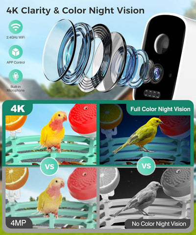 Bird Feeder with Camera, 4K HD AI Identify Bird Species, Smart Solar-Powered Bird Feeder, Auto Capture Bird& Motion Detection for Watching, Camera Bird Feeders Present for Bird Lovers