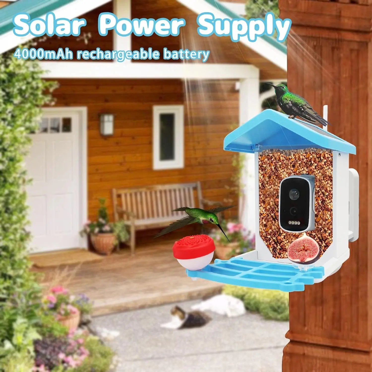 Smart Bird Feeder JY-WS013 with 4K HD Camera AI Visual Recognition for Accurate Detection Outdoor Durable Design Enhanced Monitoring Top Shelf Find