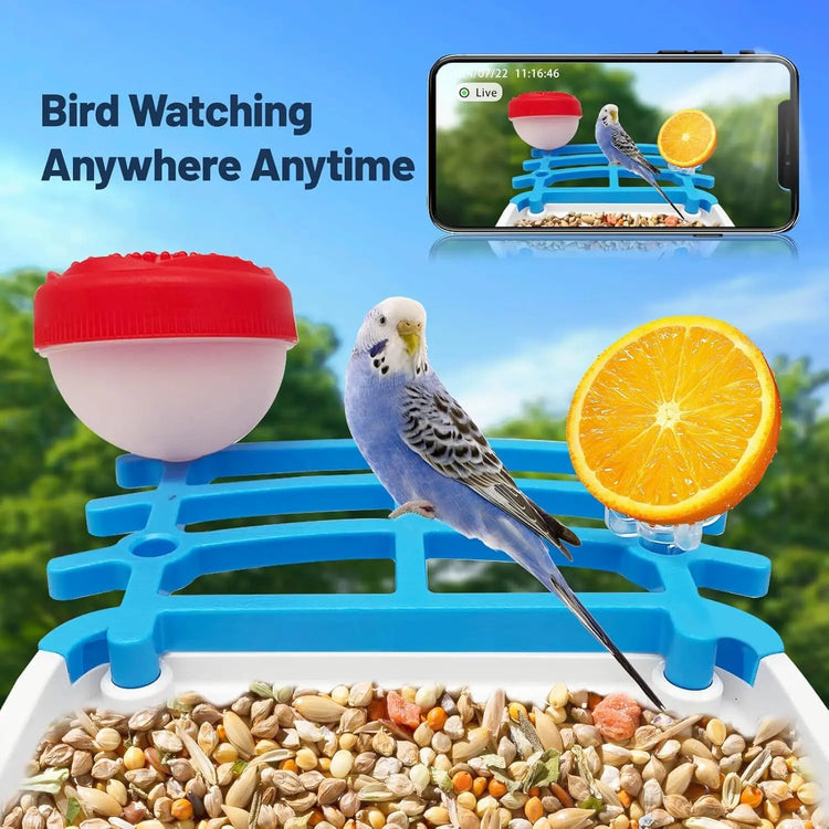 Smart Bird Feeder JY-WS013 with 4K HD Camera AI Visual Recognition for Accurate Detection Outdoor Durable Design Enhanced Monitoring Top Shelf Find
