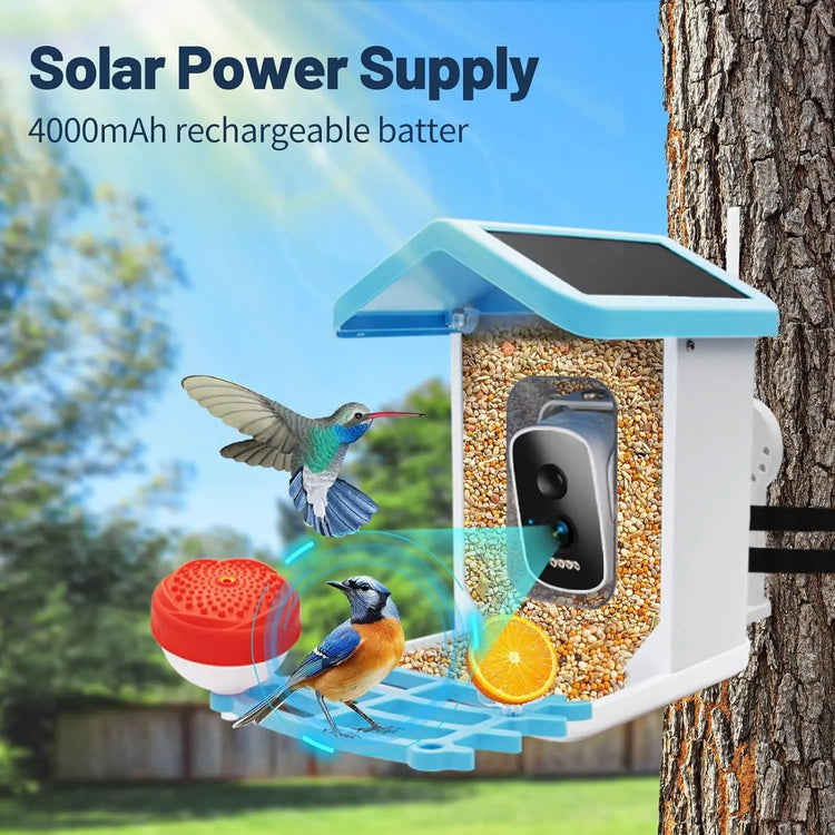 Smart Bird Feeder JY-WS013 with 4K HD Camera AI Visual Recognition for Accurate Detection Outdoor Durable Design Enhanced Monitoring Top Shelf Find