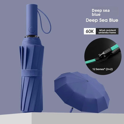 Automatic Windproof Black-Coated Umbrella with 24 Ribs