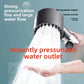 Shower head with water heater