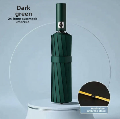 Automatic Windproof Black-Coated Umbrella with 24 Ribs