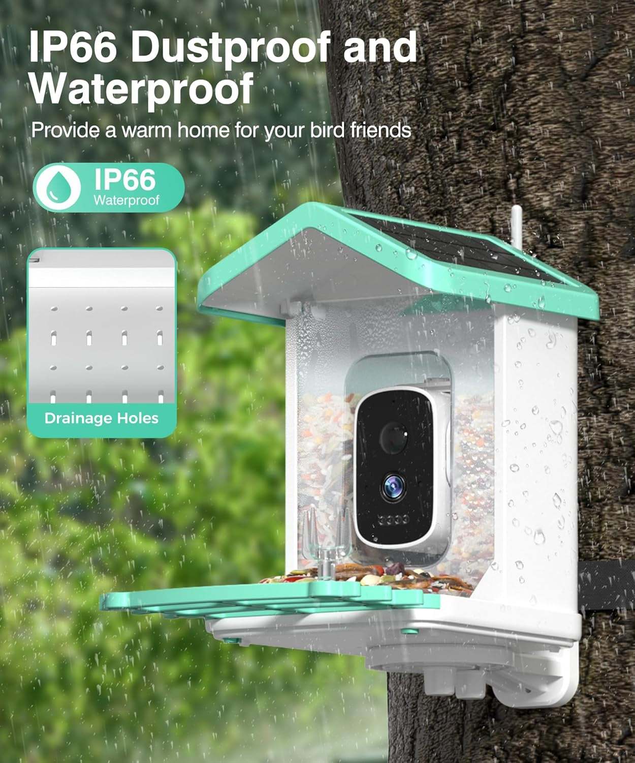 Bird Feeder with Camera, 4K HD AI Identify Bird Species, Smart Solar-Powered Bird Feeder, Auto Capture Bird& Motion Detection for Watching, Camera Bird Feeders Present for Bird Lovers