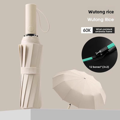 Automatic Windproof Black-Coated Umbrella with 24 Ribs